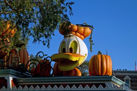 7bb8c178-22f4-4aec-a98d-b4af79b30d60.jpg