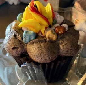 WL ROARING FORK CAMPFIRE CUPCAKE SEP 2025.jpg