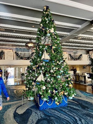 IMG_0167.jpeg