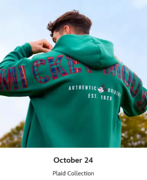 1761042920378.png