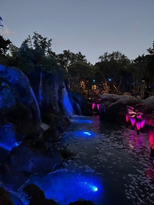 IMG_0470.jpeg