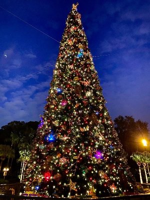 IMG_2874.jpeg