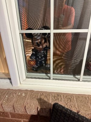 IMG_5582.jpeg