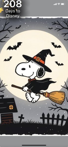 SNOOPY ON BROOM.jpeg