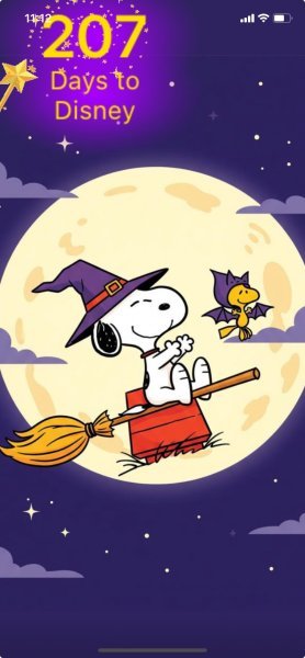 SW WITCHES AND BATS.jpeg