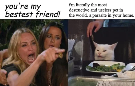 pests-not-pets-v0-5hd3e9lmabxf1.webp