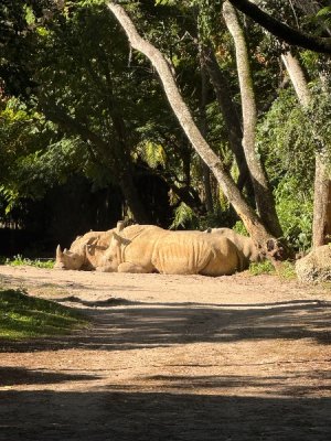 IMG_4813.jpeg IMG_4813.jpeg