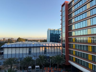 IMG_6604.jpeg