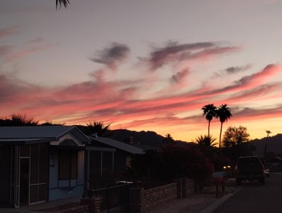 IMG_20251026_063627863.jpg