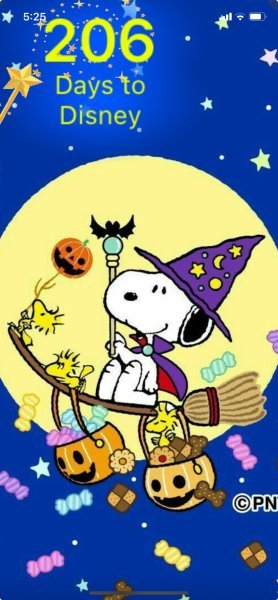 SW HALLOWEEN TREATS.jpeg