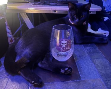 morticiawine.jpg morticiawine.jpg