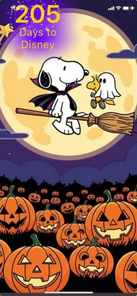 SW PUMPKIN PATCH.jpeg