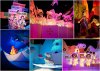 IASWcollage-2.jpg