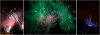 fireworkscastlenightcollage-2.jpg
