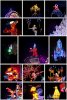 paintthenight-2.jpg