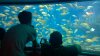 WP_20150610_021.jpg