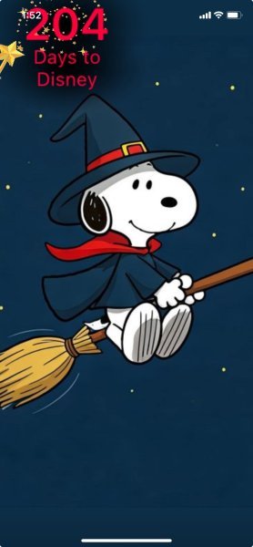 SNOOPY WITCH.jpeg
