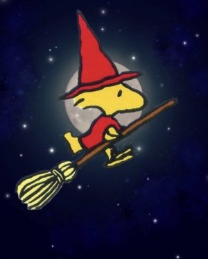 WOODSTOCK HALLOWEEN WITCH BROOM.jpg
