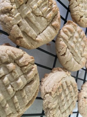 IMG_2634.jpeg IMG_2634.jpeg