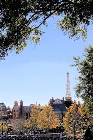 1761700194539.jpeg 1761700194539.jpeg