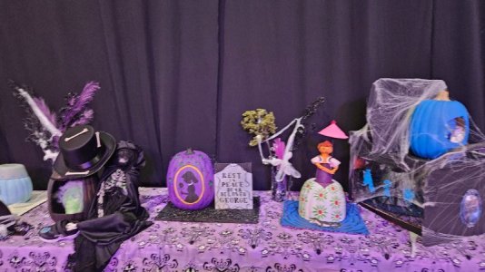 20251024_155105.jpg 20251024_155105.jpg