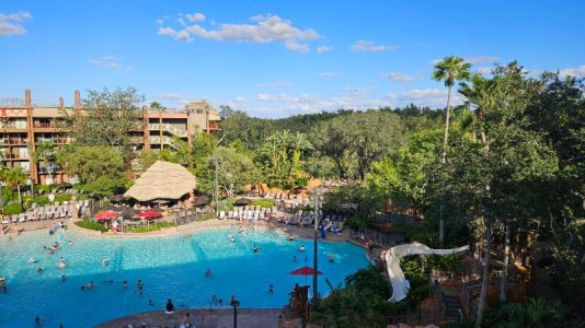 20251024_164942.jpg 20251024_164942.jpg