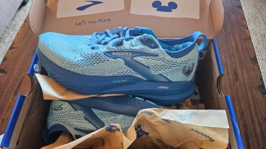 20251024_165311.jpg 20251024_165311.jpg