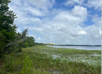 Screenshot 2025-10-29 at 12.12.53 PM.png