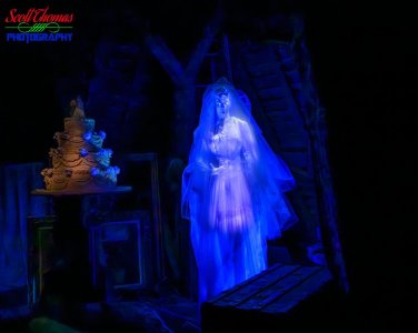 STP_20250828_036.jpg STP_20250828_036.jpg