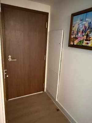 IMG_0099.jpeg IMG_0099.jpeg