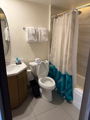 IMG_0098.jpeg IMG_0098.jpeg