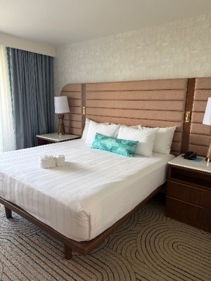 IMG_0115.jpeg IMG_0115.jpeg