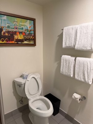 IMG_0113.jpeg IMG_0113.jpeg