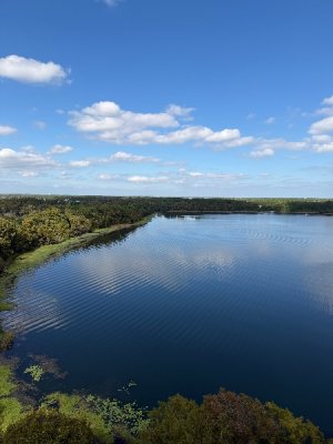 IMG_0108.jpeg IMG_0108.jpeg