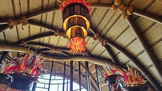 20251024_171146.jpg 20251024_171146.jpg