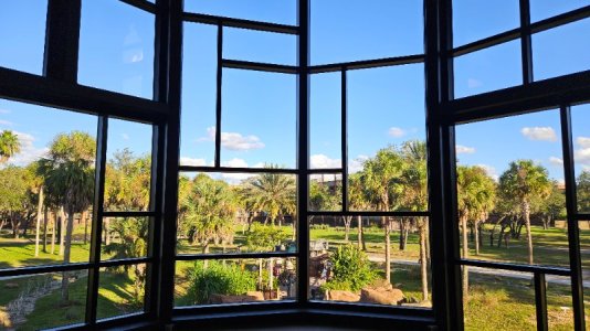 20251024_171200.jpg 20251024_171200.jpg