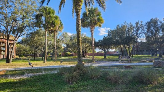 20251024_171321.jpg 20251024_171321.jpg