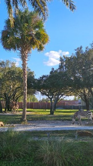 20251024_171330.jpg 20251024_171330.jpg