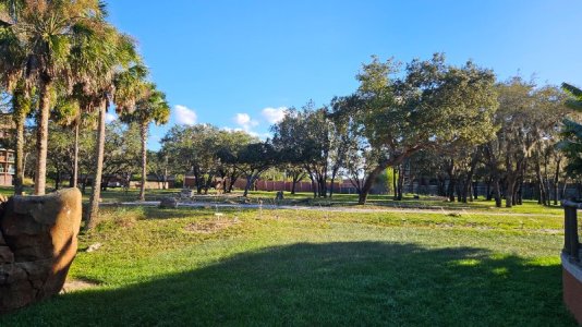 20251024_171449.jpg 20251024_171449.jpg