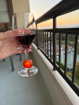 IMG_0134.jpeg IMG_0134.jpeg