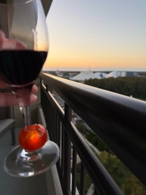 IMG_0135.jpeg IMG_0135.jpeg