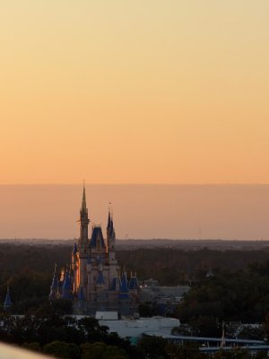 IMG_0133.jpeg IMG_0133.jpeg