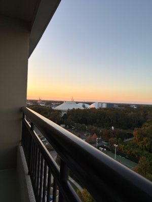 IMG_0132.jpeg IMG_0132.jpeg