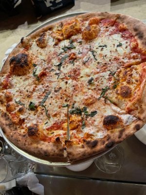 IMG_6365 (1).jpeg IMG_6365 (1).jpeg