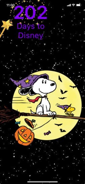 SW HALLOWEEN FLIGHT.jpeg