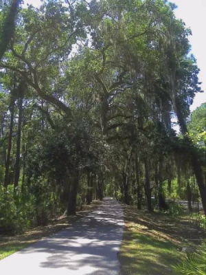 1761845901146.png 1761845901146.png