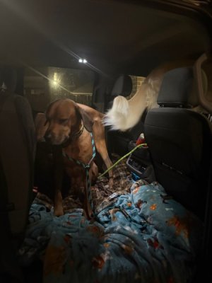 image0.jpeg image0.jpeg