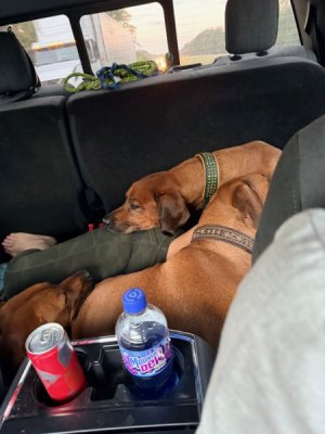 image2.jpeg image2.jpeg