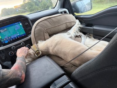 image3.jpeg image3.jpeg