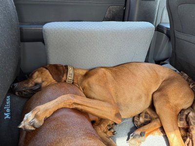 image4.jpeg image4.jpeg